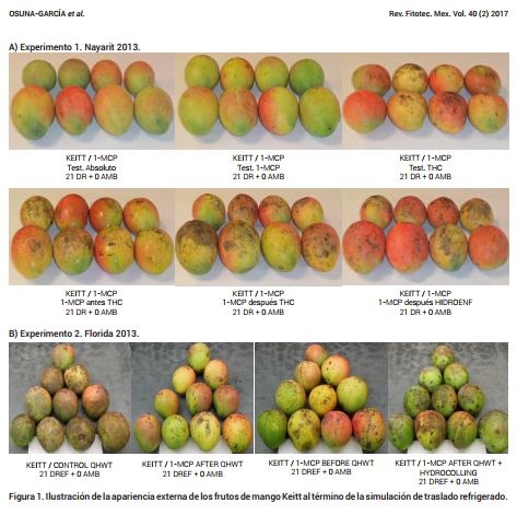 mango-osuna