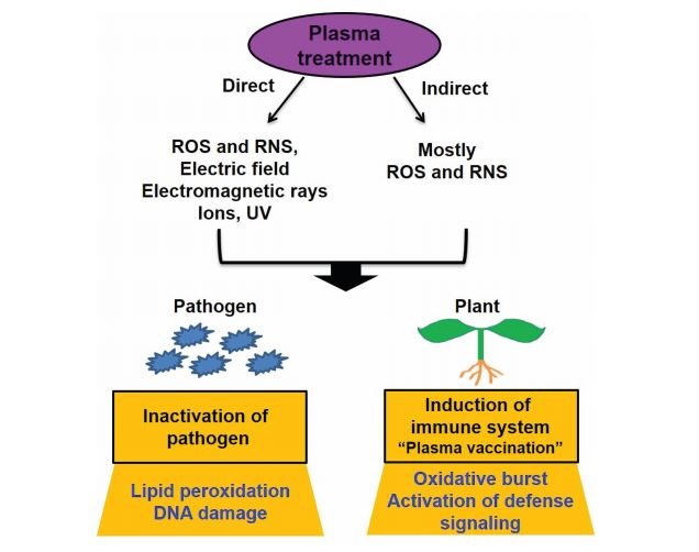 plasma-fig-1