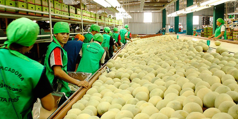 agrolibano-packing-house