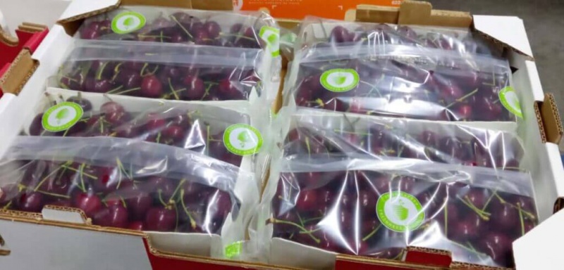 stepac-xflow-flow-pack-cherries-2-1024x492-(1)c