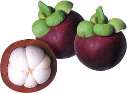 mangosteen-de-medic