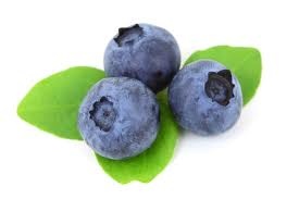 blueberry-de-fanpop-com