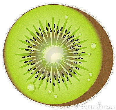 fruta-de-kiwi-vector-13951609