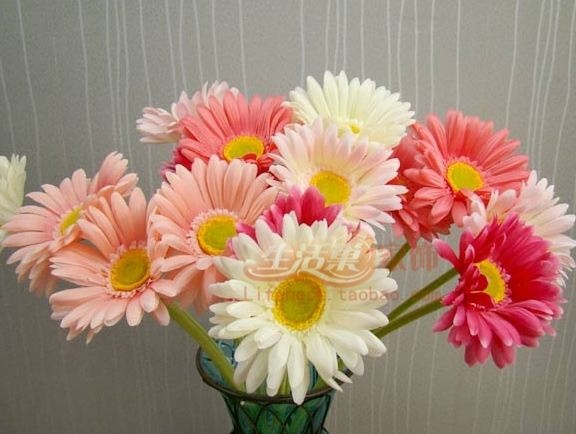 gerbera-de-aliexpress-com