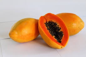 papaya-de-primiciadiario-com