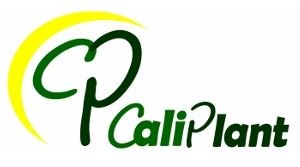 caliplant