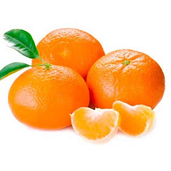 mandarina-satsuma-okitsu-2