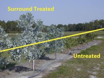 surround-treated