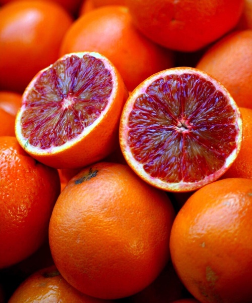 Salicylic acid retains quality attributes in orange stored during 1 month at room temperature