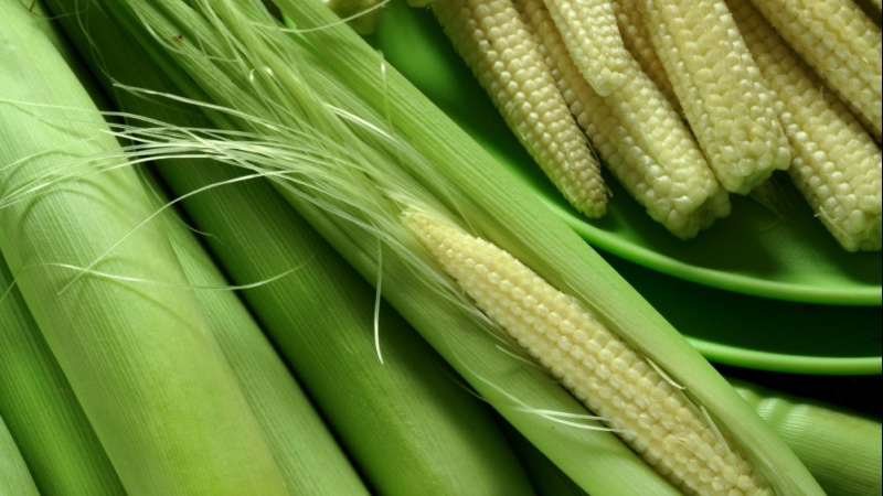 baby-corn