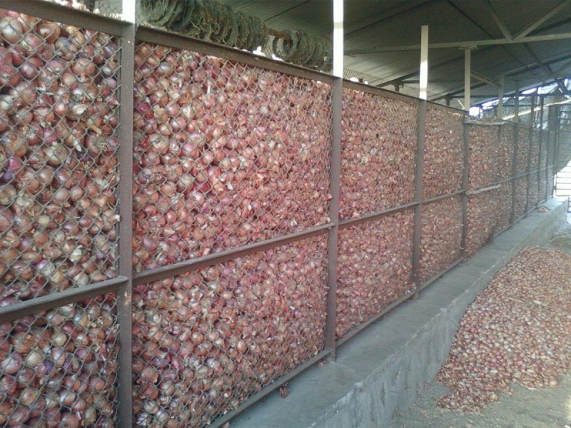 onion-store---source-staronion