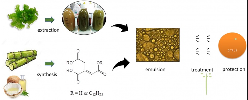 citrus-algas