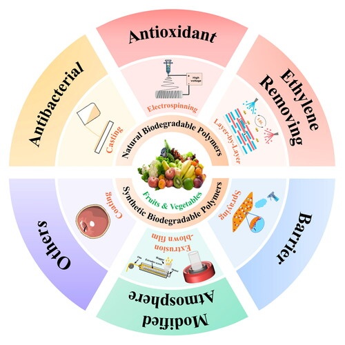 biodegradable-active-packaging