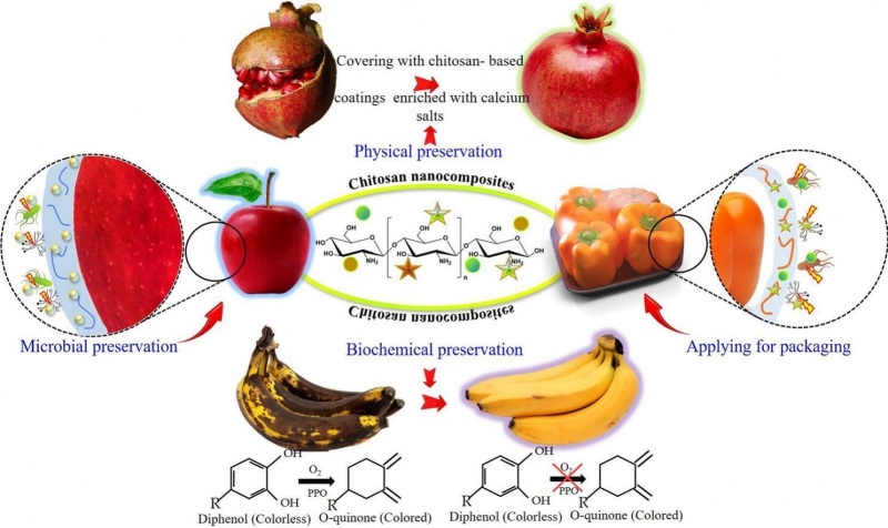 chitosan