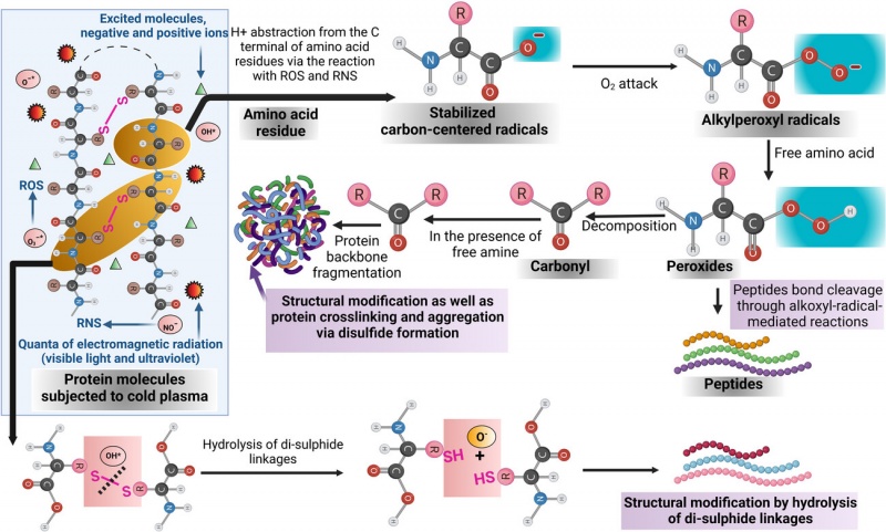 protein-modification-b-2