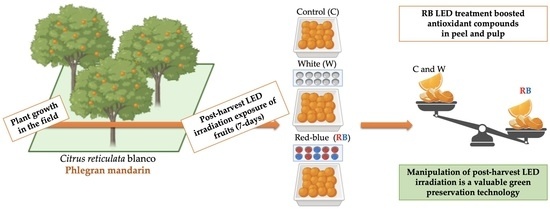 citrus-graph-abst