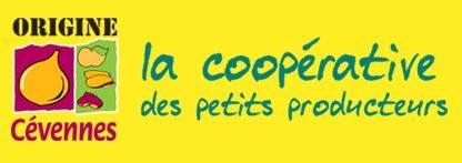 cebolla-cevennes