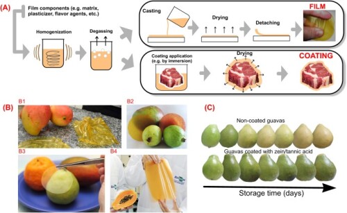 Innovative trends for loss reduction during postharvest