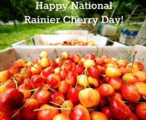 cereza-rainier-de-national-rainier-cherry-day