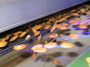 almond-sorting-with-tomra