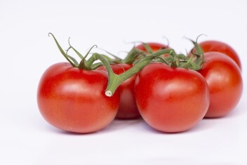 tomatoes-4348557-640