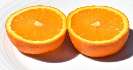 orange-3419189-640