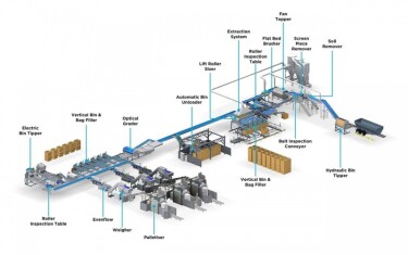 25t-onion-line-web-2-1