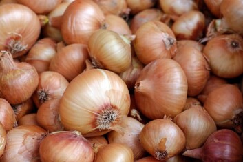 onions-1397037-1280