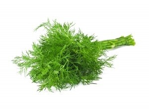 dill-shutterstock-82756711dill-300x222