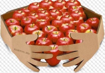 apples-by-karton-md