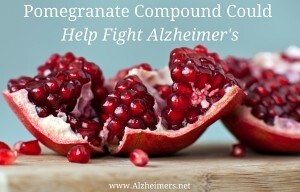 pomegranate-compound-could-help-fight-alzheimers-300x192