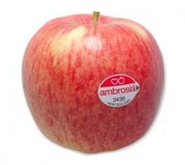 ambrosia-apple