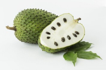 soursop-de-amazon