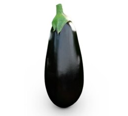 eggplant-vanesa