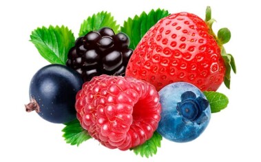 berries-mx-(1)c