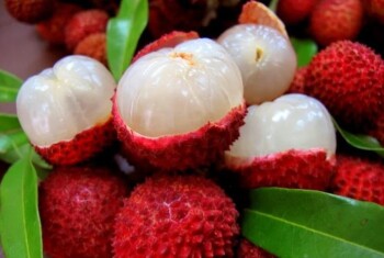 litchi