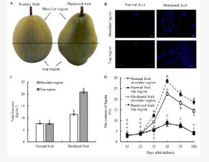 fig-1