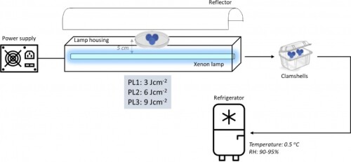 pulsed-light