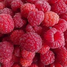 raspberry-de-flor-de-doñana