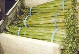 asparagus-brock