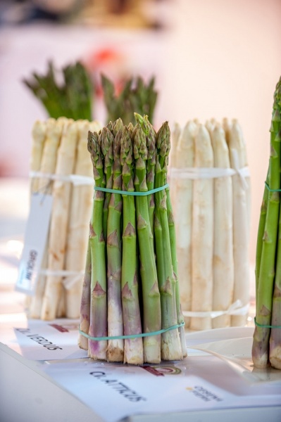 asparagus+2