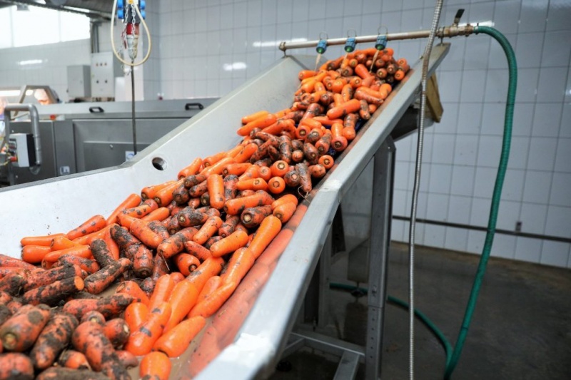 carrots-blog-6-1024x683