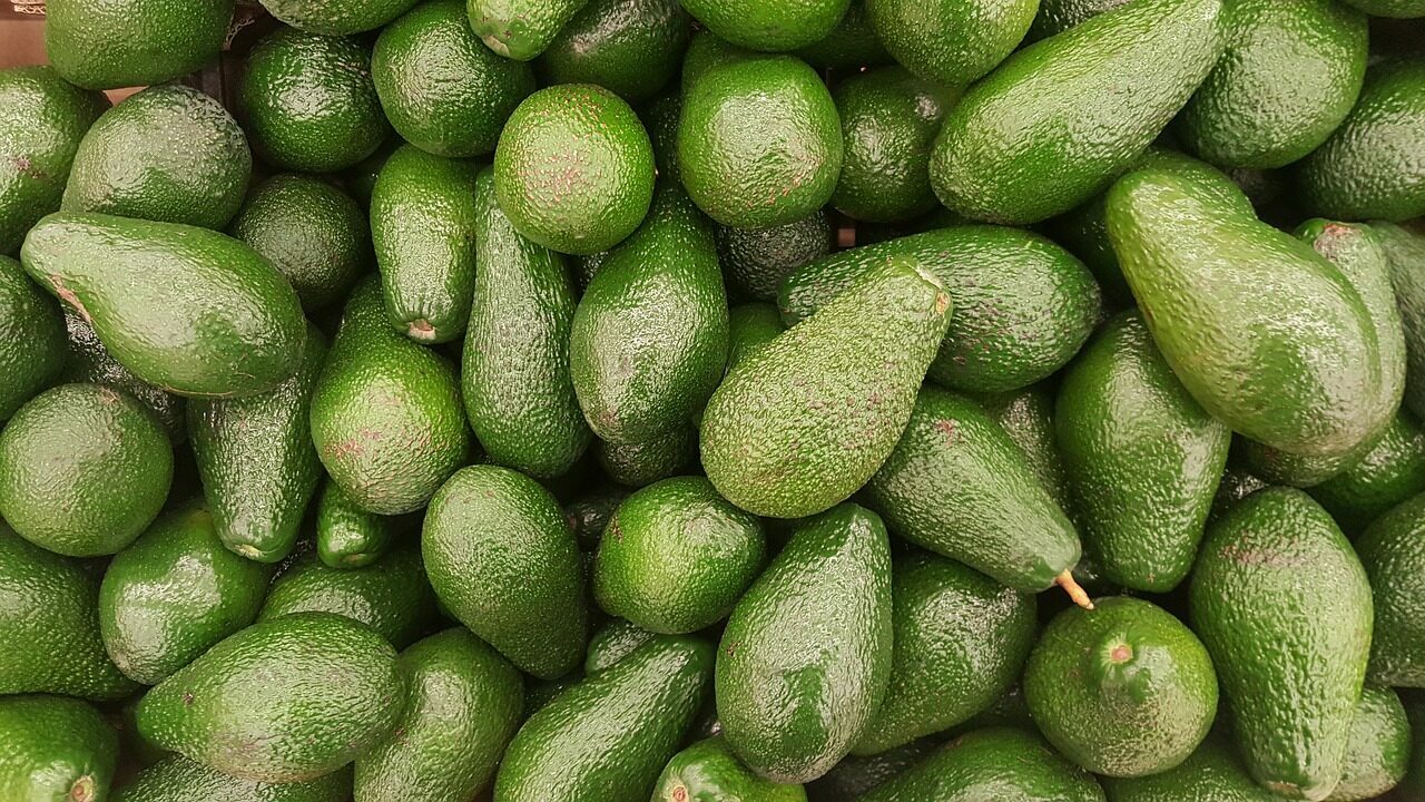 avocado-geefb767a6_1280-e1657542092914.jpg