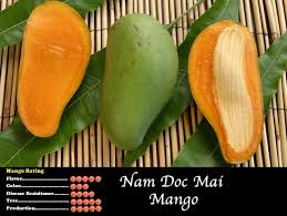 mango-nam-doc