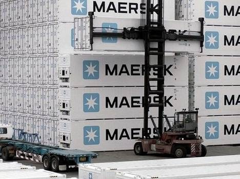 maersk-ornamentales