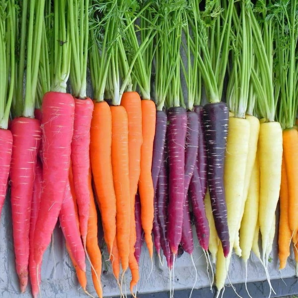 carrot-colour-mix