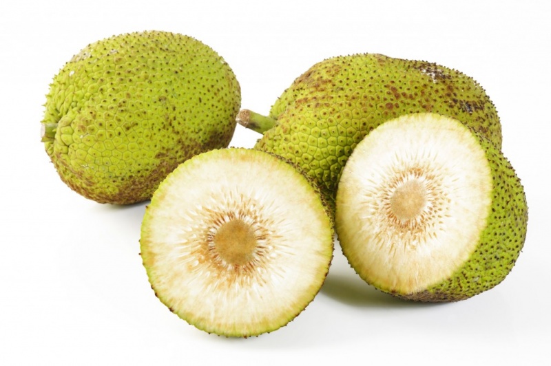 breadfruit