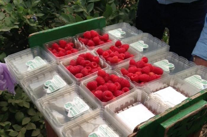 raspberry-packaging