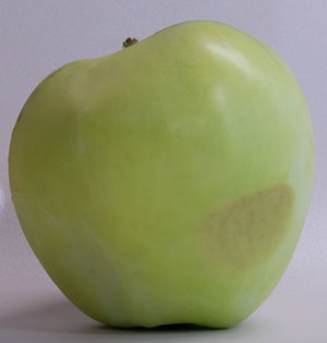 apple-bruise