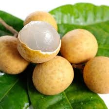 longan